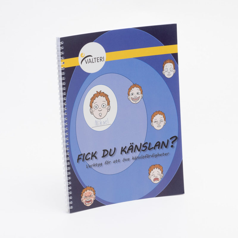 Fick du känslan? -bok