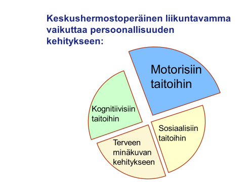 Kuvassa on persoonallisuuden kehityksen neljä osa-aluetta: motoriset taidot, kognitiiviset taidot, sosiaaliset taidot ja terveen minäkuvan kehitys.