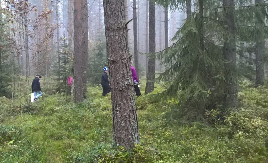 Kuvassa oppilaat ovat sienestämässä metsässä.