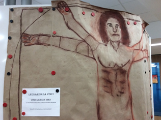Kuvassa on oppilaiden piirtämä Vitruviuksen mies.